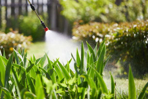 24/7 Emergency Mosquito Control experts in Cypress Quarters, FL