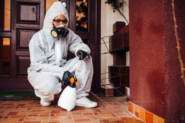 Reliable Mosquito Control contractor in Cypress Quarters, FL by Show Me Pest Control